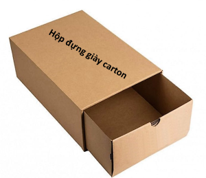 HỘP ĐỰNG GIÀY CARTON